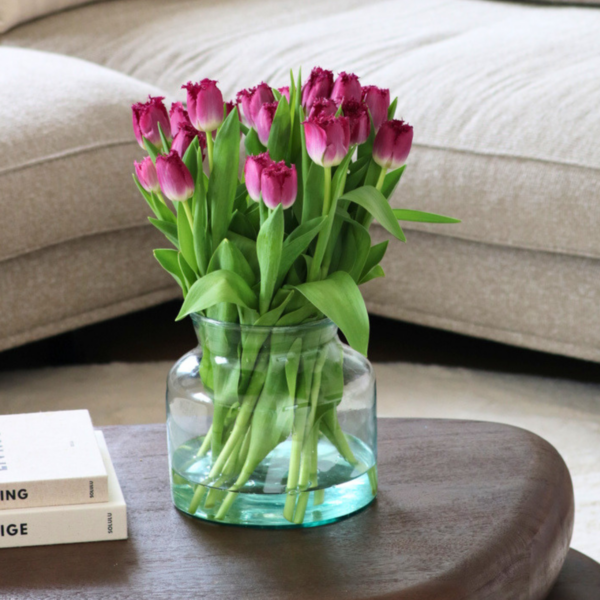Purple Crystal - Tulp van de Week