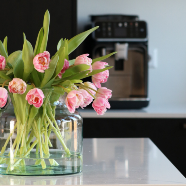 Tulp van de week - Endless Love