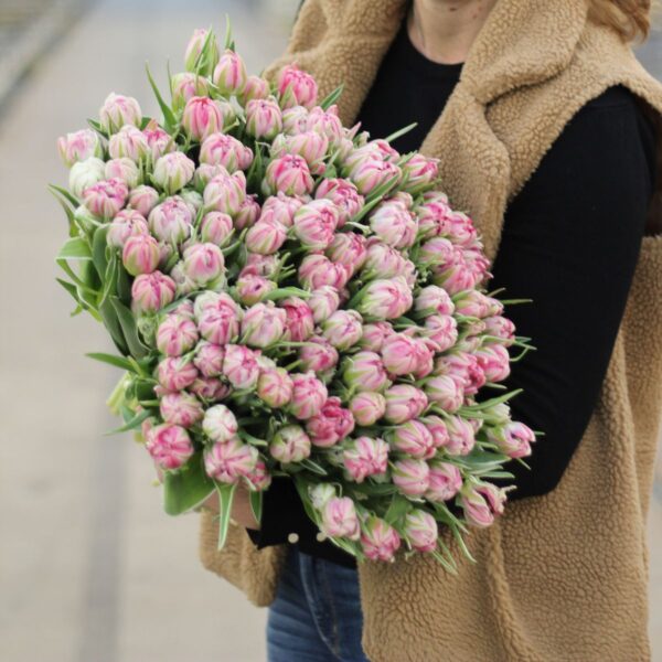 dubbele roze tulpen xl