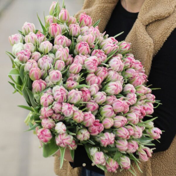 dubbele roze tulpen xxl