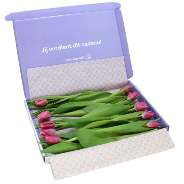 multicolour vrolijk brievenbus tulpen