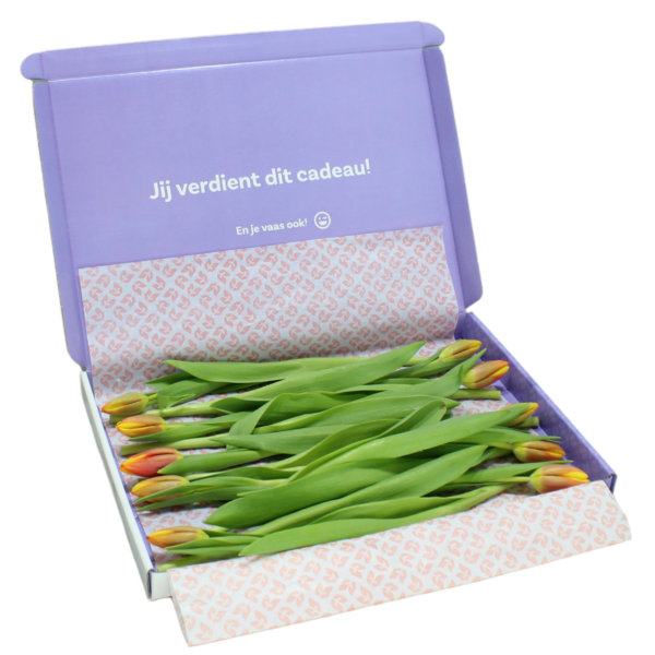 multicolour warm brievenbus tulpen