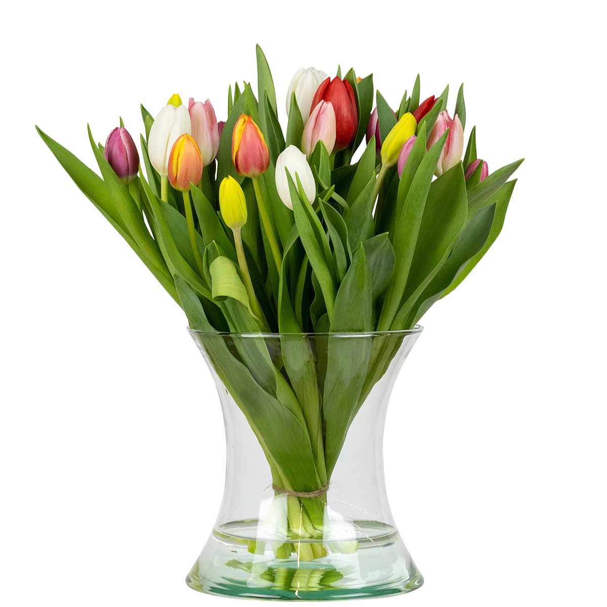 Tulpenvazen