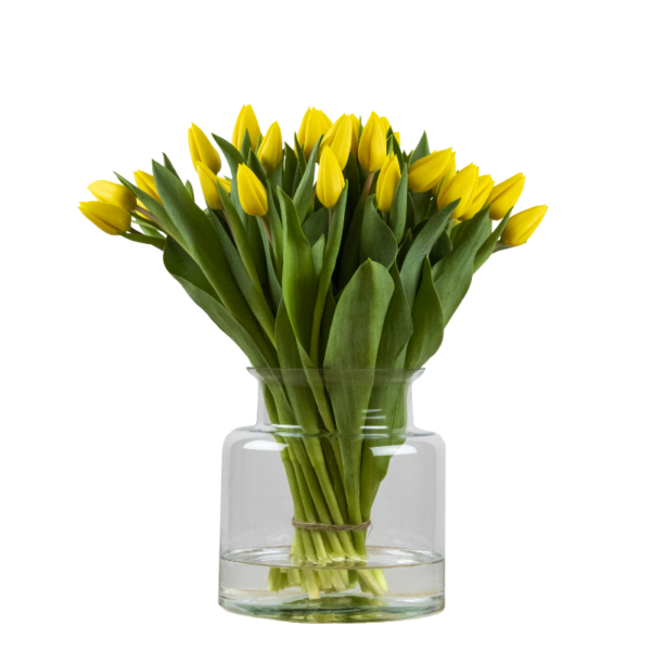 tulpen bossen