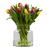 Ontwerp zonder titel (58)