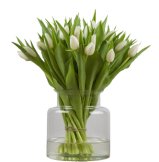 Ontwerp zonder titel (61)