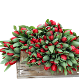 Ontwerp zonder titel (62)