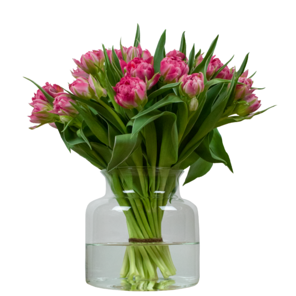 roze dubbele tulpen